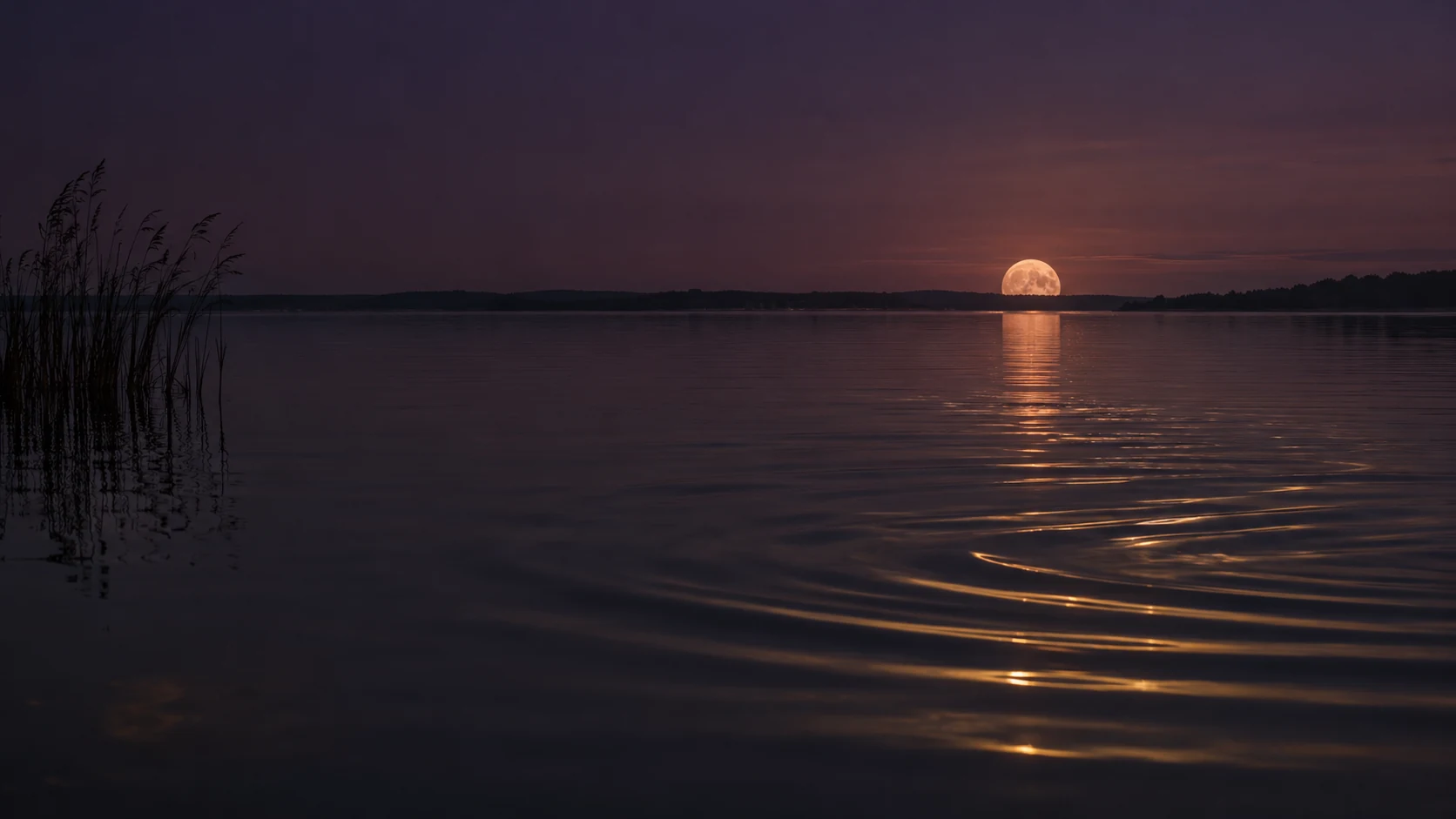 Golden ripples across quiet dark water beneath a peach moonrise